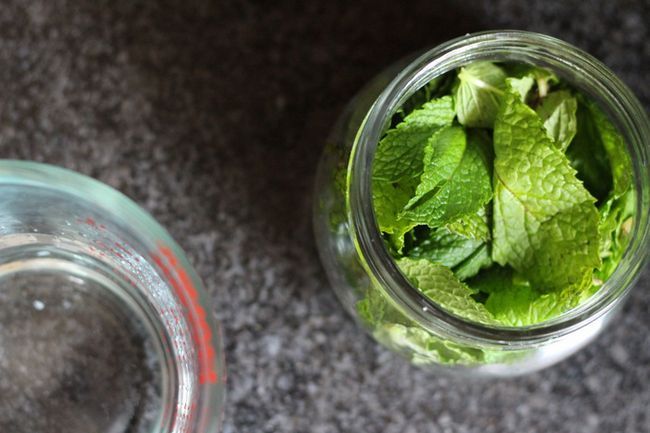 Mint Extrait Recette - Extrait de menthe Recette - Ohhh, je'm going to add a minty twist to my favorite brownies, chocolate pudding, ice cream, hot chocolate or tea! This two-ingredient mint extract recipe looks so easy.