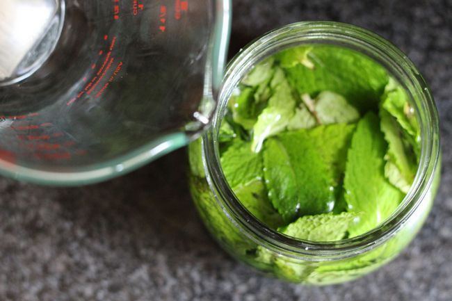 menthe extrait recette - Mint Extrait Recette - Ohhh, je'm going to add a minty twist to my favorite brownies, chocolate pudding, ice cream, hot chocolate or tea! This two-ingredient mint extract recipe looks so easy.
