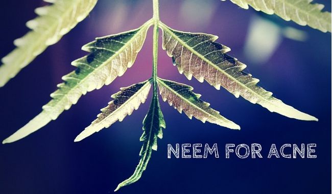Quelle est l'efficacité de neem pour l'acné? (N ° 1 et 5 est le meilleur)