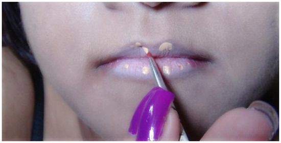 lèvres avec un pinceau à lèvres