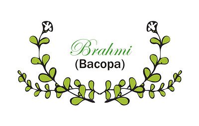 Brahmi de bacopa