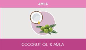 amla1