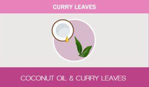 Feuilles de curry