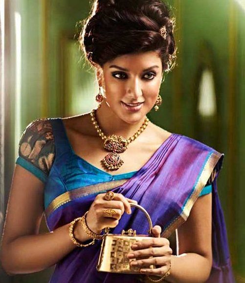 Meilleurs designs de chemisier pour saris Pattu