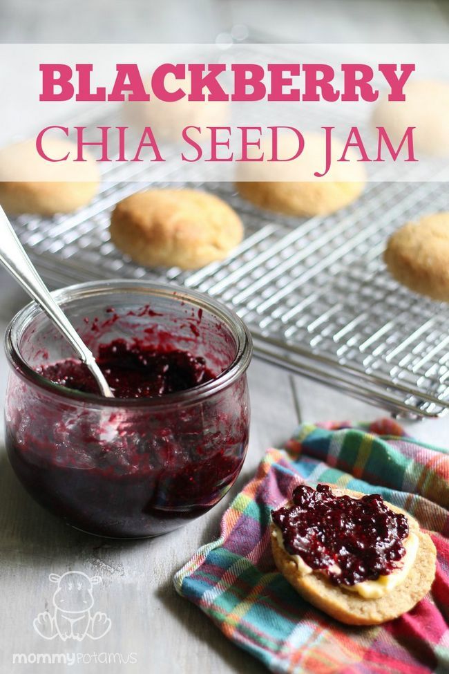 Blackberry Chia Seed Jam - si facile! Quatre ingrédients simples et cela prend seulement environ 10 minutes de mains sur le temps de faire.