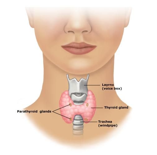 Les raisons et les symptômes de problème de thyroïde chez les femmes