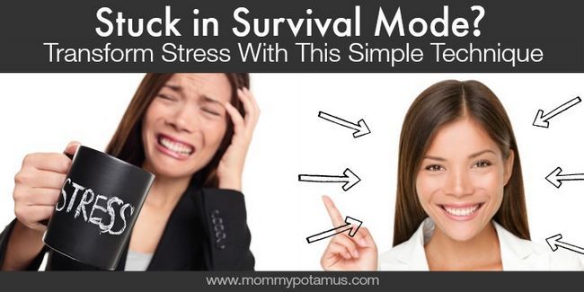 Coincé dans le mode Survival? Transformer le stress avec cette technique simple Coincé dans le mode Survival? Transformer le stress avec cette technique simple
