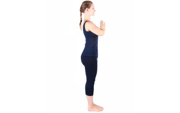 Le Pranamasana