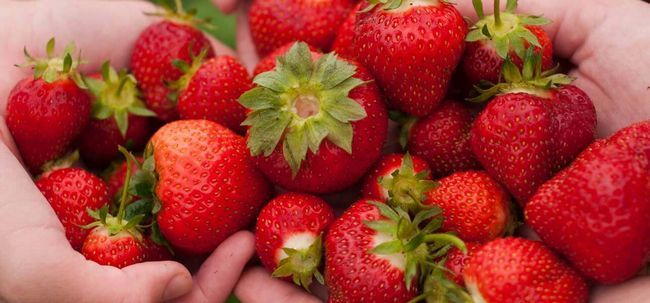 La bonté de fraises pour la peau