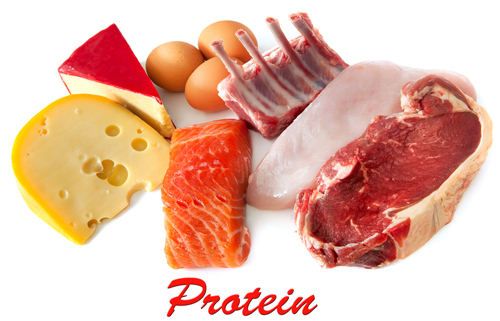 protéine