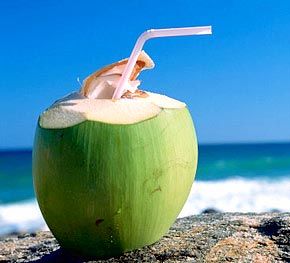 Coconut est bon pour l'été