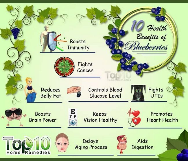 Top 10 des avantages pour la santé des bleuets