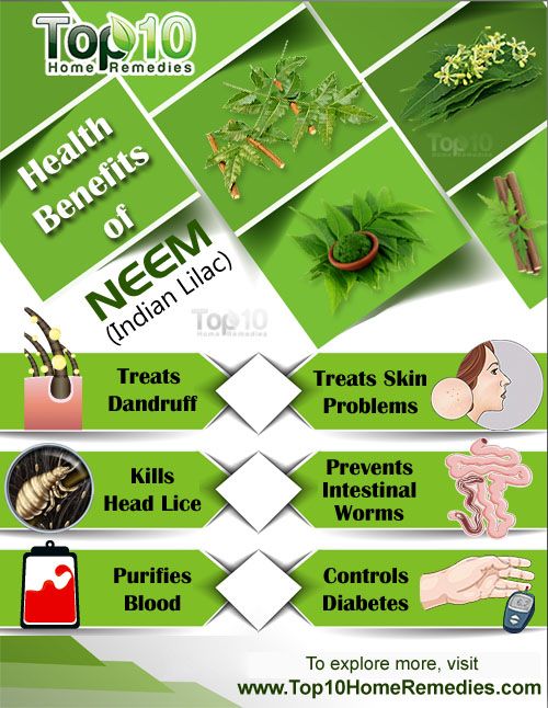 Top 10 des avantages pour la santé de neem (lilas indienne)