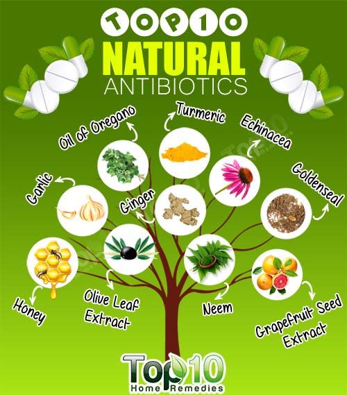 Top 10 des antibiotiques naturels