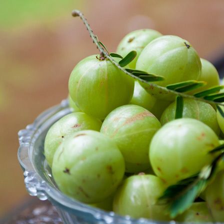 Amla