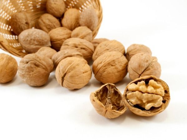 Haut les avantages de noix pour votre santé