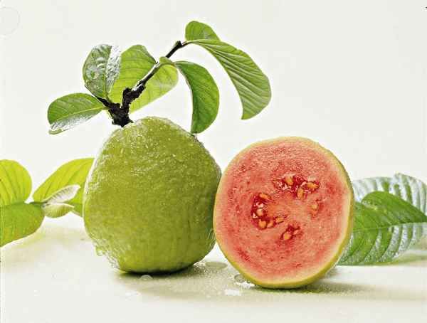 guava1