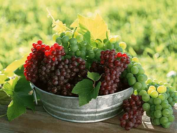 Top avantages pour la santé de raisins
