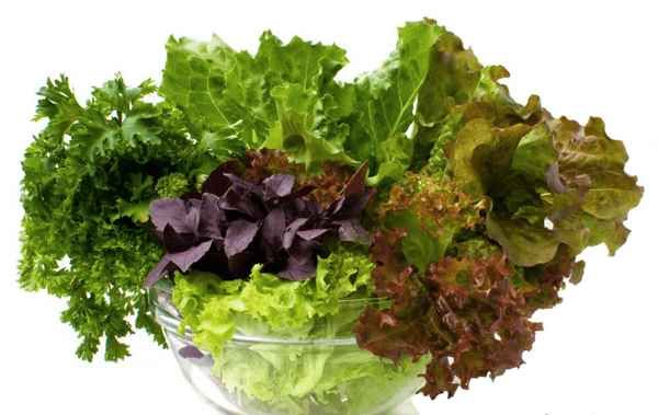 Top avantages pour la santé de légumes à feuilles vertes