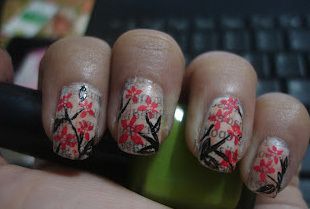 Nouvelles Livre Nail Art5