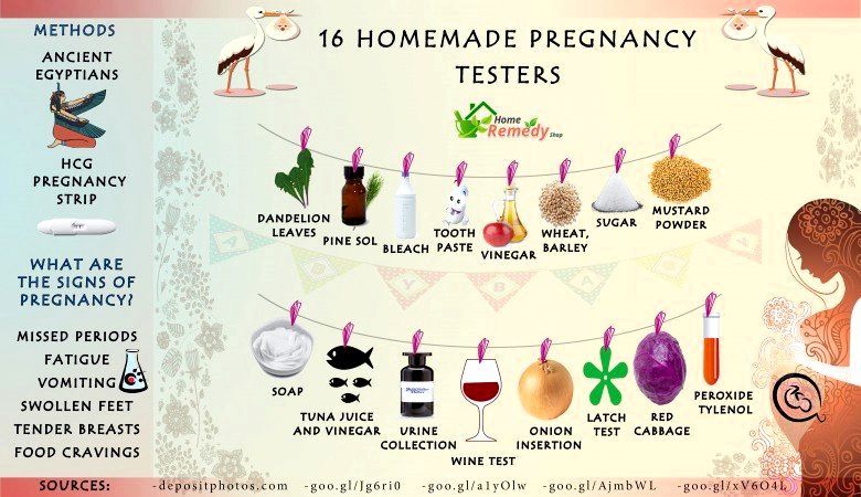 16 Testeurs de grossesse Homemade