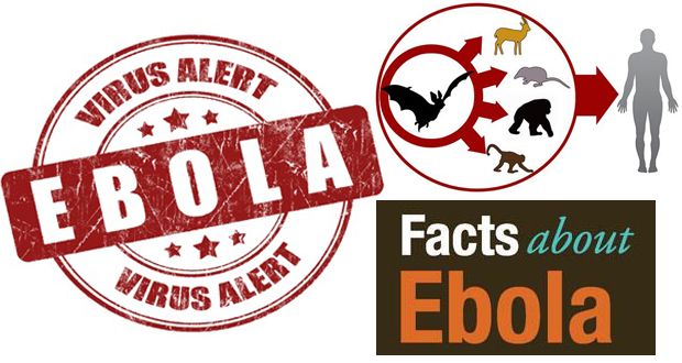 Virus Ebola faits - causes, symptômes, diagnostic, le traitement et la prévention