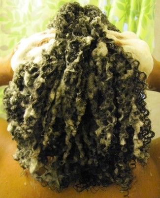 laver les cheveux malodorante